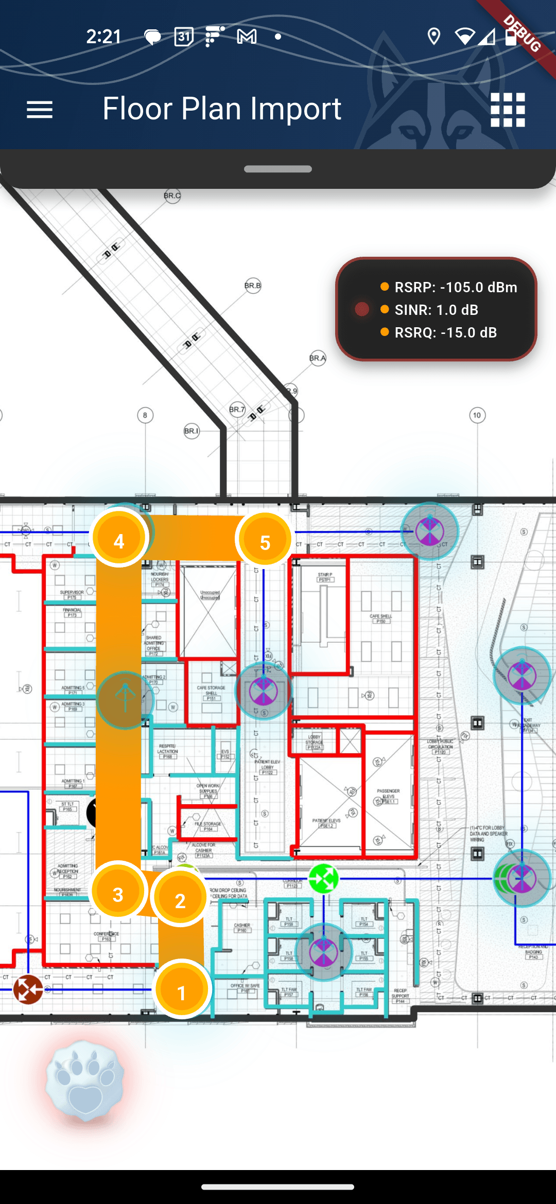 GoodPAW walk test data capture view